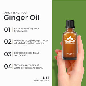 [30% OFF] Healing Ginger Oil