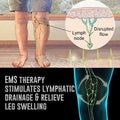 EMS Regenerating Foot Massager - PP2