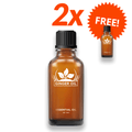 (1+1 FREE) Lymphatic Drainage Ginger Oil